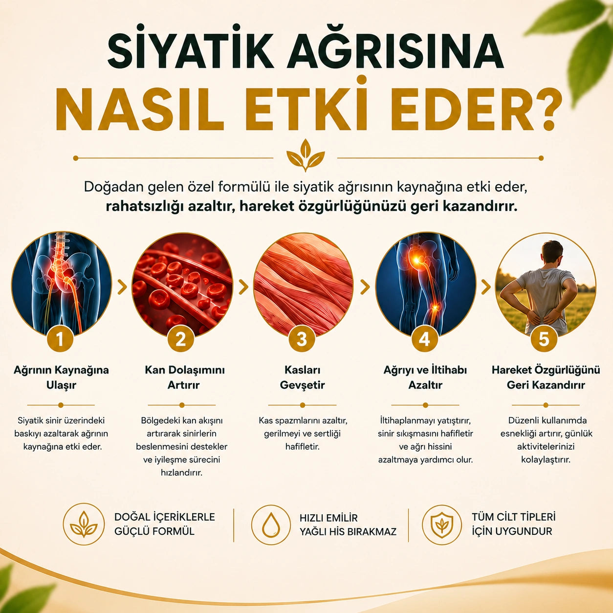 Arıderm - Siyatik Ağrı Giderici Arı Zehri Kremi