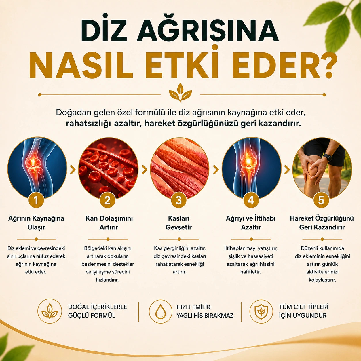Arıderm - Diz Ağrısı Giderici Arı Zehri Kremi